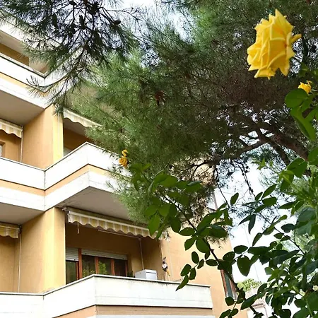 Apartment Se092 - Senigallia, Ampio Quadrilocale Con Terrazzo
